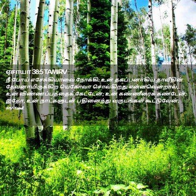 Picture 02 - ஏசாயா 38:5 TAMIRV - நீ போய் - Bible Verse Picture