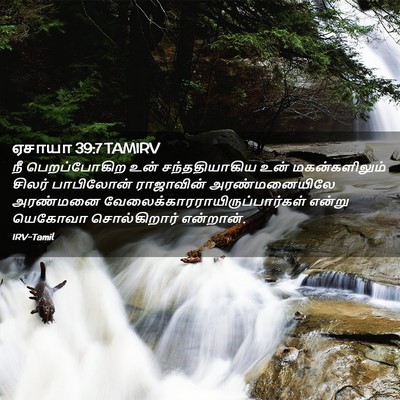 Picture 02 - ஏசாயா 39:7 TAMIRV - நீ பெறப்போகிற உன் - Bible Verse Picture