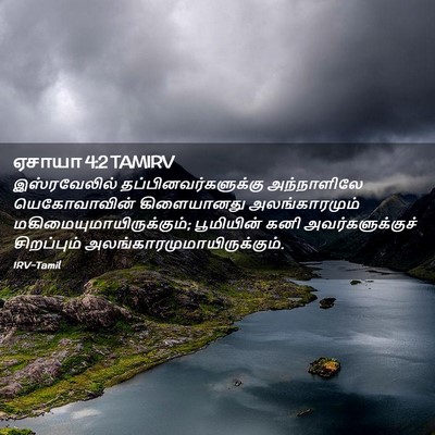 Picture 02 - ஏசாயா 4:2 TAMIRV - இஸ்ரவேலில் - Bible Verse Picture
