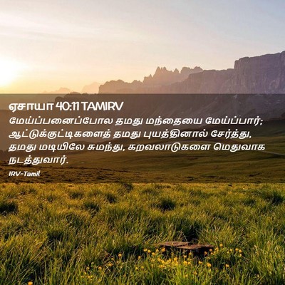 Picture 02 - ஏசாயா 40:11 TAMIRV - மேய்ப்பனைப்போல - Bible Verse Picture
