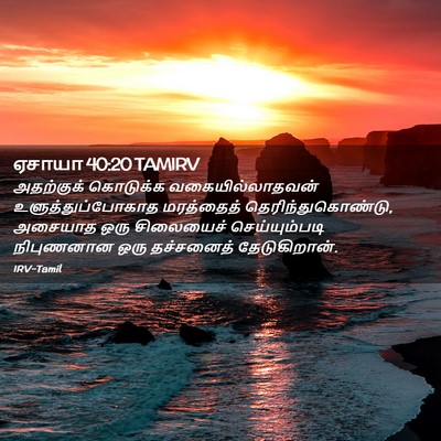 Picture 02 - ஏசாயா 40:20 TAMIRV - அதற்குக் கொடுக்க - Bible Verse Picture