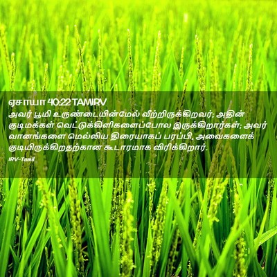 Picture 02 - ஏசாயா 40:22 TAMIRV - அவர் பூமி - Bible Verse Picture