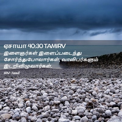 Picture 02 - ஏசாயா 40:30 TAMIRV - இளைஞர்கள் - Bible Verse Picture