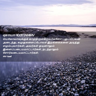 Picture 02 - ஏசாயா 40:31 TAMIRV - யெகோவாவுக்குக் - Bible Verse Picture