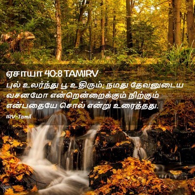 Picture 02 - ஏசாயா 40:8 TAMIRV - புல் உலர்ந்து பூ - Bible Verse Picture