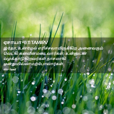Picture 02 - ஏசாயா 41:11 TAMIRV - இதோ, உன்மேல் - Bible Verse Picture