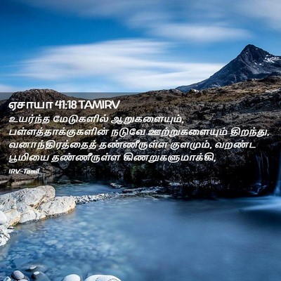 Picture 02 - ஏசாயா 41:18 TAMIRV - உயர்ந்த மேடுகளில் - Bible Verse Picture