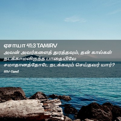 Picture 02 - ஏசாயா 41:3 TAMIRV - அவன் அவர்களைத் - Bible Verse Picture