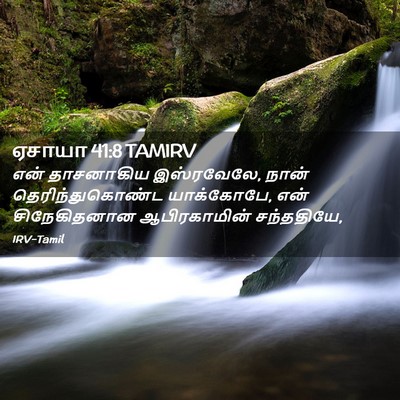 Picture 02 - ஏசாயா 41:8 TAMIRV - என் தாசனாகிய - Bible Verse Picture