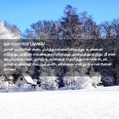 Picture 02 - ஏசாயா 41:9 TAMIRV - நான் பூமியின் - Bible Verse Picture
