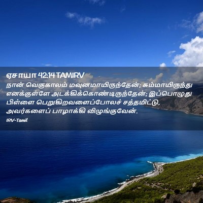 Picture 02 - ஏசாயா 42:14 TAMIRV - நான் வெகுகாலம் - Bible Verse Picture
