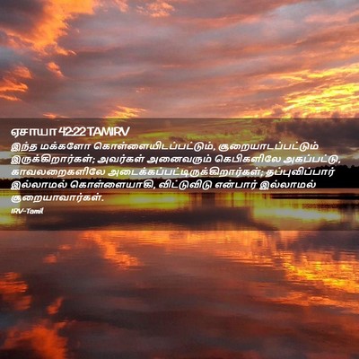 Picture 02 - ஏசாயா 42:22 TAMIRV - இந்த மக்களோ - Bible Verse Picture
