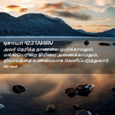 Picture 02 - ஏசாயா 42:3 TAMIRV - அவர் நெரிந்த - Bible Verse Picture