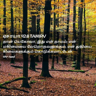 Picture 02 - ஏசாயா 42:8 TAMIRV - நான் யெகோவா, இது - Bible Verse Picture