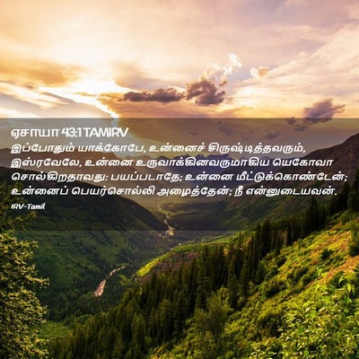 Picture 02 - ஏசாயா 43:1 TAMIRV - இப்போதும் - Bible Verse Picture