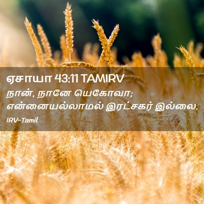 Picture 02 - ஏசாயா 43:11 TAMIRV - நான், நானே யெகோவா; - Bible Verse Picture