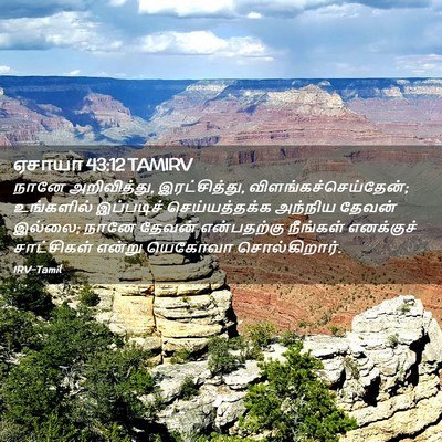 Picture 02 - ஏசாயா 43:12 TAMIRV - நானே அறிவித்து, - Bible Verse Picture