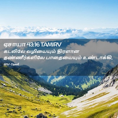Picture 02 - ஏசாயா 43:16 TAMIRV - கடலிலே வழியையும் - Bible Verse Picture