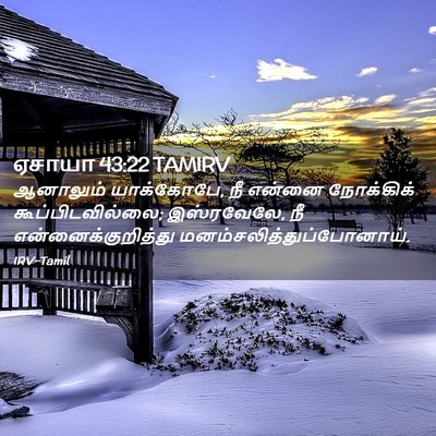 Picture 02 - ஏசாயா 43:22 TAMIRV - ஆனாலும் யாக்கோபே, - Bible Verse Picture