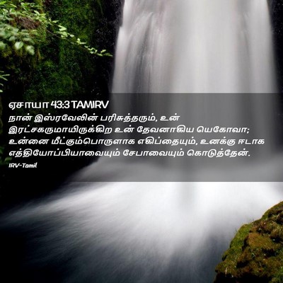 Picture 02 - ஏசாயா 43:3 TAMIRV - நான் இஸ்ரவேலின் - Bible Verse Picture