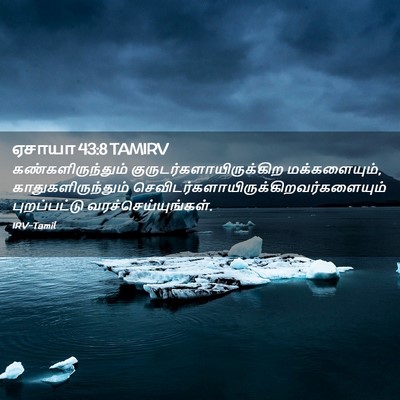 Picture 02 - ஏசாயா 43:8 TAMIRV - கண்களிருந்தும் - Bible Verse Picture