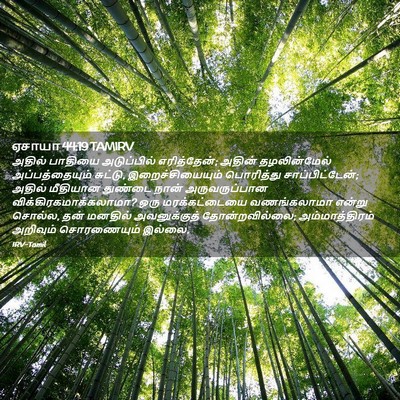 Picture 02 - ஏசாயா 44:19 TAMIRV - அதில் பாதியை - Bible Verse Picture