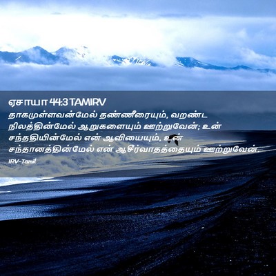 Picture 02 - ஏசாயா 44:3 TAMIRV - தாகமுள்ளவன்மேல் - Bible Verse Picture