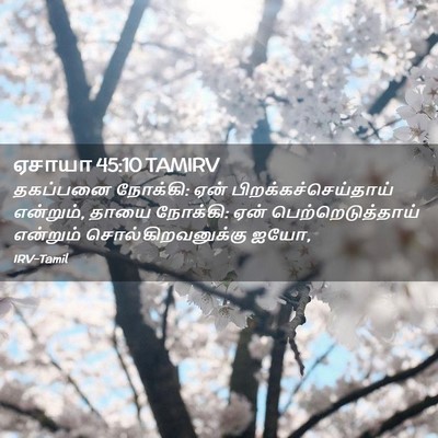 Picture 02 - ஏசாயா 45:10 TAMIRV - தகப்பனை நோக்கி: - Bible Verse Picture