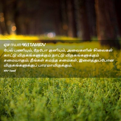 Picture 02 - ஏசாயா 46:1 TAMIRV - பேல் பணியும், நேபோ - Bible Verse Picture