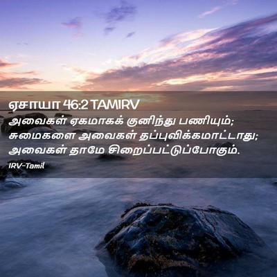 Picture 02 - ஏசாயா 46:2 TAMIRV - அவைகள் ஏகமாகக் - Bible Verse Picture