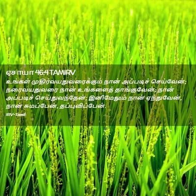 Picture 02 - ஏசாயா 46:4 TAMIRV - உங்கள் - Bible Verse Picture