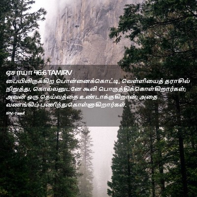 Picture 02 - ஏசாயா 46:6 TAMIRV - பையிலிருக்கிற - Bible Verse Picture