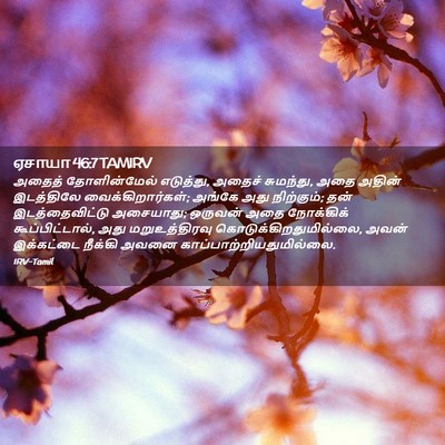 Picture 02 - ஏசாயா 46:7 TAMIRV - அதைத் தோளின்மேல் - Bible Verse Picture