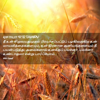 Picture 02 - ஏசாயா 47:12 TAMIRV - நீ உன் - Bible Verse Picture