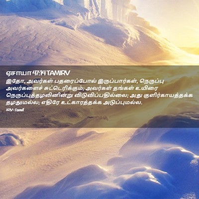 Picture 02 - ஏசாயா 47:14 TAMIRV - இதோ, அவர்கள் - Bible Verse Picture