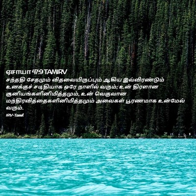 Picture 02 - ஏசாயா 47:9 TAMIRV - சந்ததி சேதமும் - Bible Verse Picture