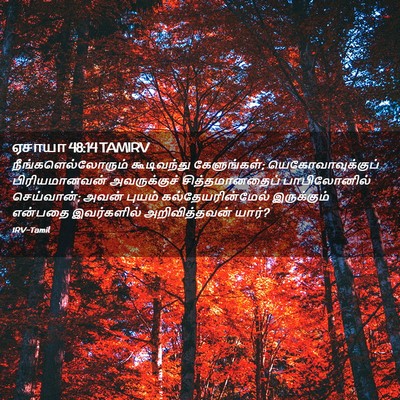 Picture 02 - ஏசாயா 48:14 TAMIRV - நீங்களெல்லோரும் - Bible Verse Picture