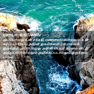 Picture 02 - ஏசாயா 48:19 TAMIRV - அப்பொழுது உன் - Bible Verse Picture