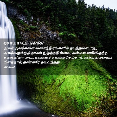Picture 02 - ஏசாயா 48:21 TAMIRV - அவர் அவர்களை - Bible Verse Picture