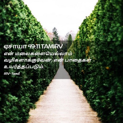Picture 02 - ஏசாயா 49:11 TAMIRV - என் - Bible Verse Picture