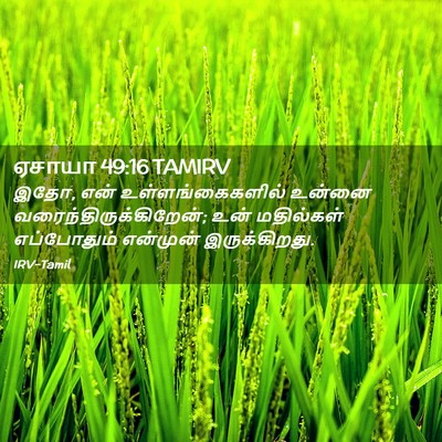 Picture 02 - ஏசாயா 49:16 TAMIRV - இதோ, என் - Bible Verse Picture