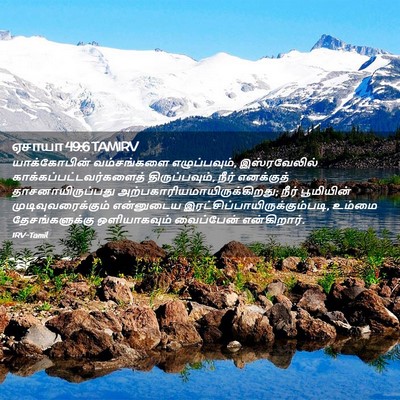Picture 02 - ஏசாயா 49:6 TAMIRV - யாக்கோபின் - Bible Verse Picture