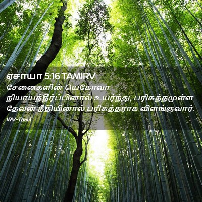 Picture 02 - ஏசாயா 5:16 TAMIRV - சேனைகளின் யெகோவா - Bible Verse Picture