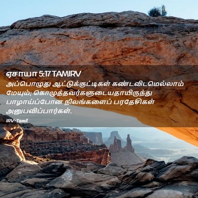 Picture 02 - ஏசாயா 5:17 TAMIRV - அப்பொழுது - Bible Verse Picture