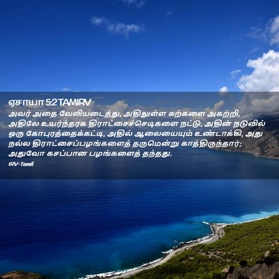 Picture 02 - ஏசாயா 5:2 TAMIRV - அவர் அதை - Bible Verse Picture
