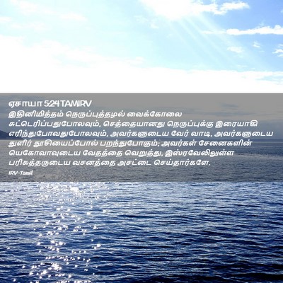 Picture 02 - ஏசாயா 5:24 TAMIRV - இதினிமித்தம் - Bible Verse Picture