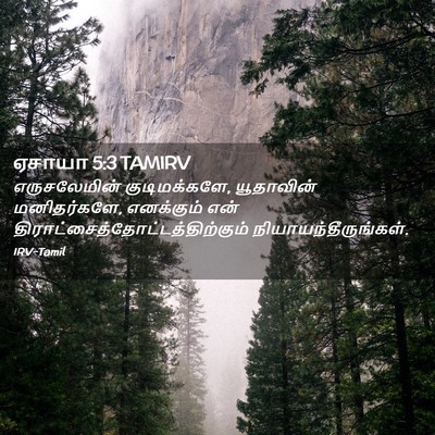 Picture 02 - ஏசாயா 5:3 TAMIRV - எருசலேமின் - Bible Verse Picture