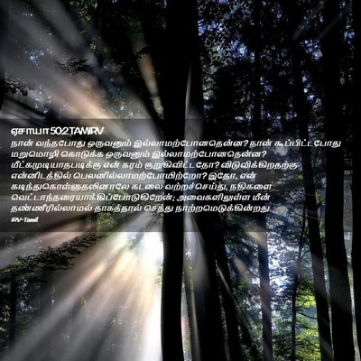 Picture 02 - ஏசாயா 50:2 TAMIRV - நான் வந்தபோது - Bible Verse Picture