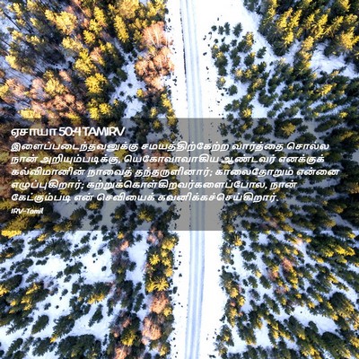Picture 02 - ஏசாயா 50:4 TAMIRV -  - Bible Verse Picture