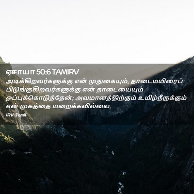 Picture 02 - ஏசாயா 50:6 TAMIRV -  - Bible Verse Picture